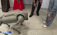 В молодежном центре «Гелиос» в Курске провели тематический фестиваль ко Дню семьи, любви и верности