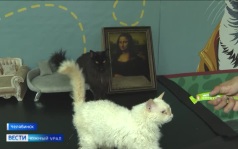 Эфир от 08.07.2026 (21:10)