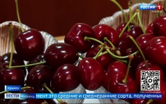 Эфир от 08.07.2026 (21:10)