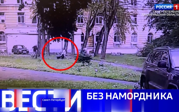 Эфир от 09.07.2026 (11:30)