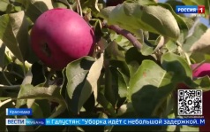 Эфир от 09.07.2026 (11:30)