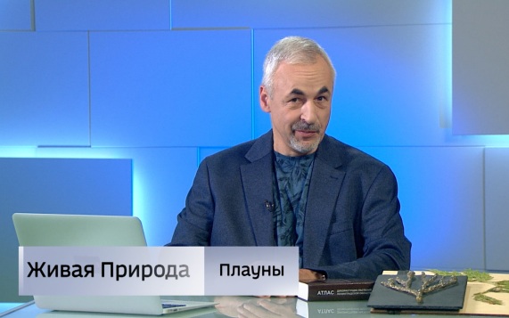 Живая природа. "Плауны". Эфир от 11.07.2026