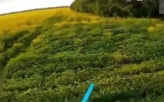 Росгвардейцы уничтожили пикап ВСУ с помощью дрона-камикадзе