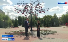 Глава Уварова рассказал, каким будет фестиваль «Вишневарово» в этом году