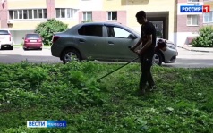 В Тамбове после дождей продолжается покос травы