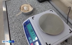 Зерно из Курской область активно покоряет зарубежье