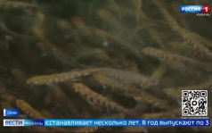 Эфир от 10.07.2026 (21:10)
