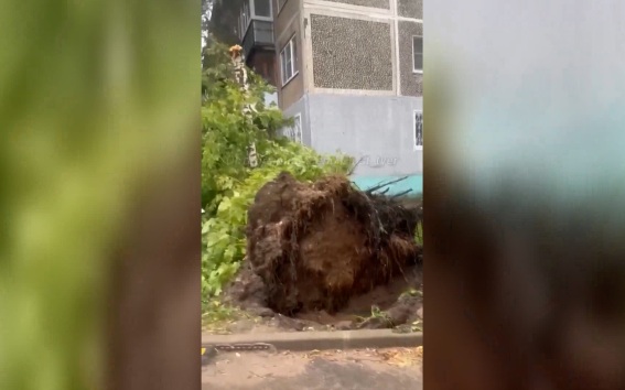 В Твери ураган и ливень парализовали город: повалены десятки деревьев, улицы превратились в реки