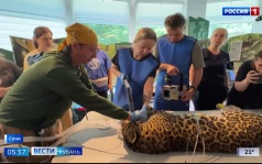 Эфир от 13.07.2026 (05:35)