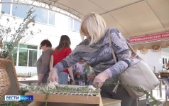 «Курск — сердце Черноземья»: в парке КЗТЗ прошел семейный праздник