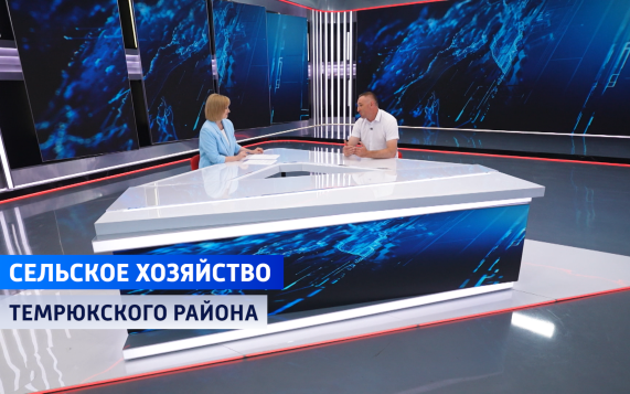 Рай для фермеров: Темрюкский район привлекает всё больше сельскохозпроизводителей