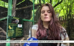 Сипухи и винторогий козел появились в Иркутском зоосаде
