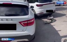 В областном центре легковушка въехала в дерево