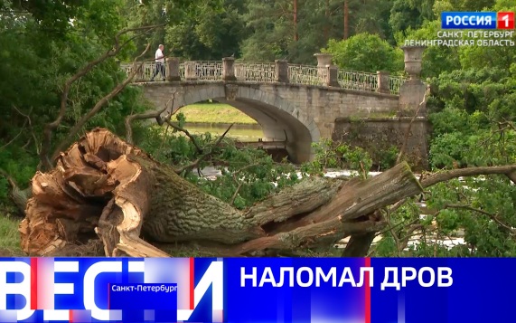Эфир от 13.07.2026 (21:10)