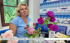 «Шамаханская царица», «Айсберг» и «Аспирин». Больше 130 сортов роз представили в Иркутске на выставке «Розовая рапсодия»