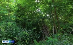 Сочетание новейших технологий и боевого опыта позволяет бойцам группировки «Север» уверенно продвигаться вперёд