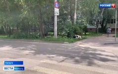 Эфир от 15.07.2026