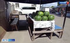 Торговля вне закона: в Тамбове провели рейд по стихийным точкам