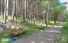 Белгородцам напоминают о правилах безопасности в лесу