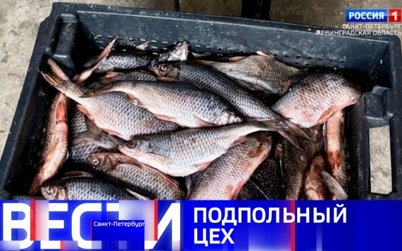 Эфир от 16.07.2026 (11:30)