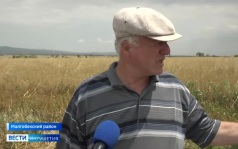 В Ингушетии началась уборочная кампания