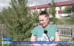 Вести Поморья в 11:30, эфир 16 июля 2026 г.