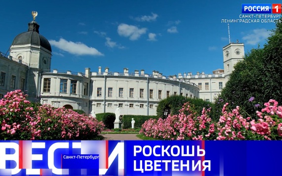 Эфир от 17.07.2026 (09:30)
