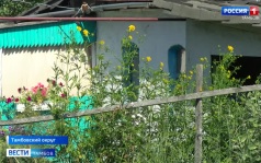 Мобильный ФАП сделал остановку в деревне Елагино