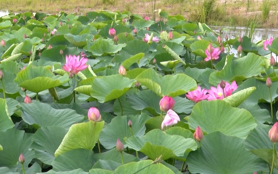 Эфир от 17.07.2026