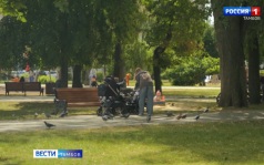 Тепло возвращается в регион после дождливой и пасмурной недели