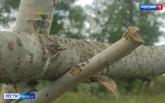 Вместо узурпаторского троса - цивилизованный шлагбаум. Новые меры предпринимателя отгородится от людей
