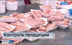 В партии сырой продукции птицефабрики «Зеленецкая» обнаружили бактерии сальмонеллы