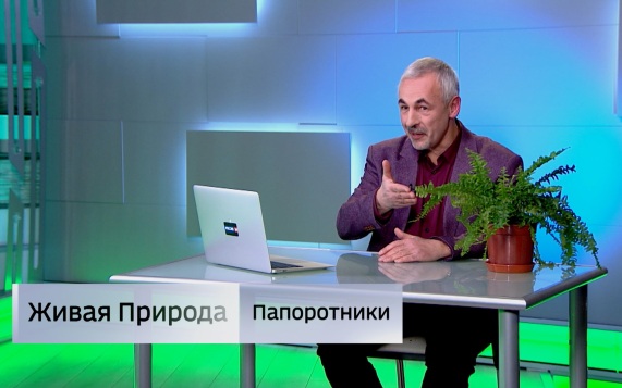 Живая природа. "Папоротники". Эфир от 18.07.2026