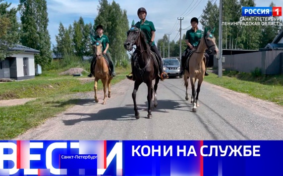 Эфир от 18.07.2026 (20:50)