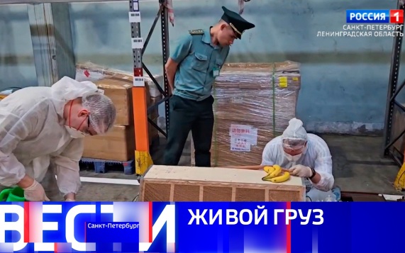 Эфир от 19.07.2026 (08:00)
