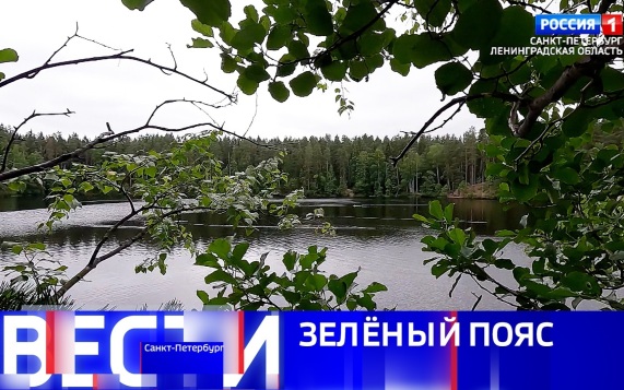 Эфир от 19.07.2026 (14:30)