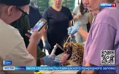 Эфир от 13.07.2026 (11:30)