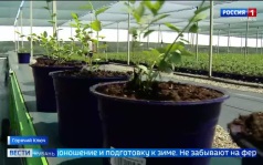 Эфир от 13.07.2026 (21:10)