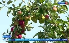 Эфир от 20.07.2026 (11:30)