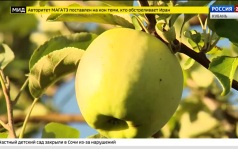 Эфир от 20.07.2026 (17:30)