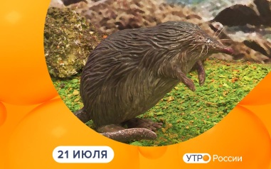Эфир от 21.07.2026