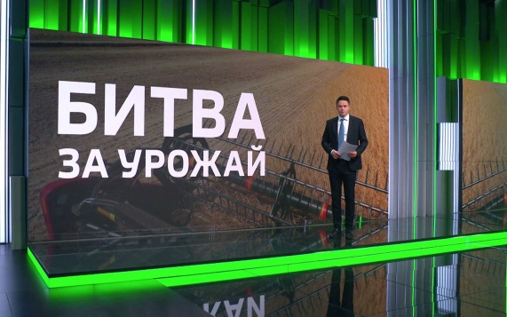 Европа лишилась урожая зерна на 2 млрд евро из-за аномальной жары