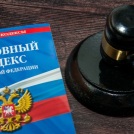 На внука Дарьи Донцовой напала крупная собака