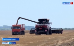В регионе стартовала уборочная кампания: прогнозы на урожай в Тамбовском округе