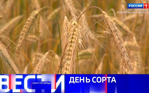 Эфир от 22.07.2026 (21:10)