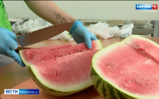Выбирайте только у проверенных продавцов: ягода из Приморья открыла в Хабаровске арбузный бум