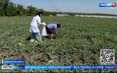 Эфир от 22.07.2026 (21:10)