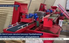 Модернизация оборудования идет в Мегетском лесопитомнике Прибайкалья