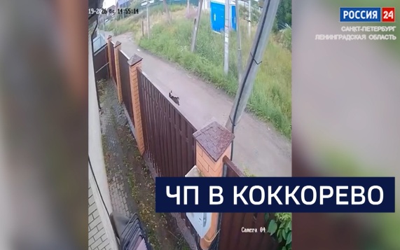 Эфир от 23.07.2026