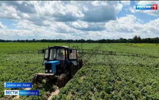 С помощью господдержки фермеры края исполняют поручение Губернатора увеличивать площади полей